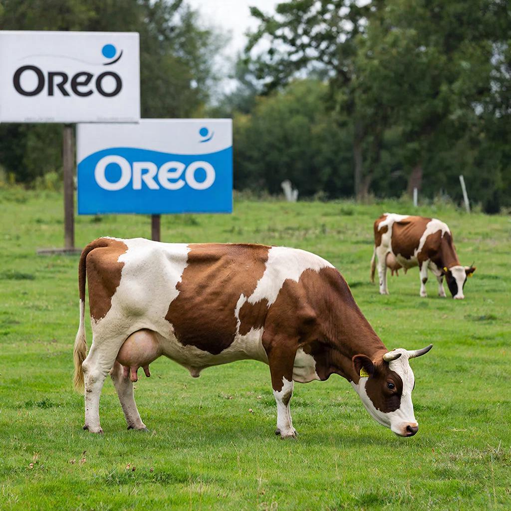 Oreo показали необычную корову-печеньку в новой рекламной кампании