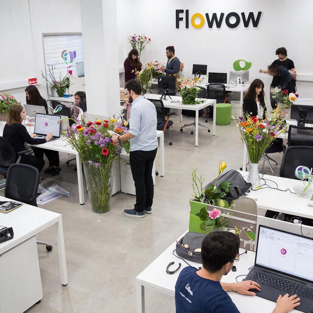 Flowwow стал Флаувау: сервис сменил латиницу на кириллицу