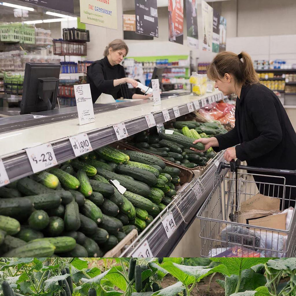 Огурцы дороже ананасов: почему в Новосибирске ввели ограничения на покупку огурцов